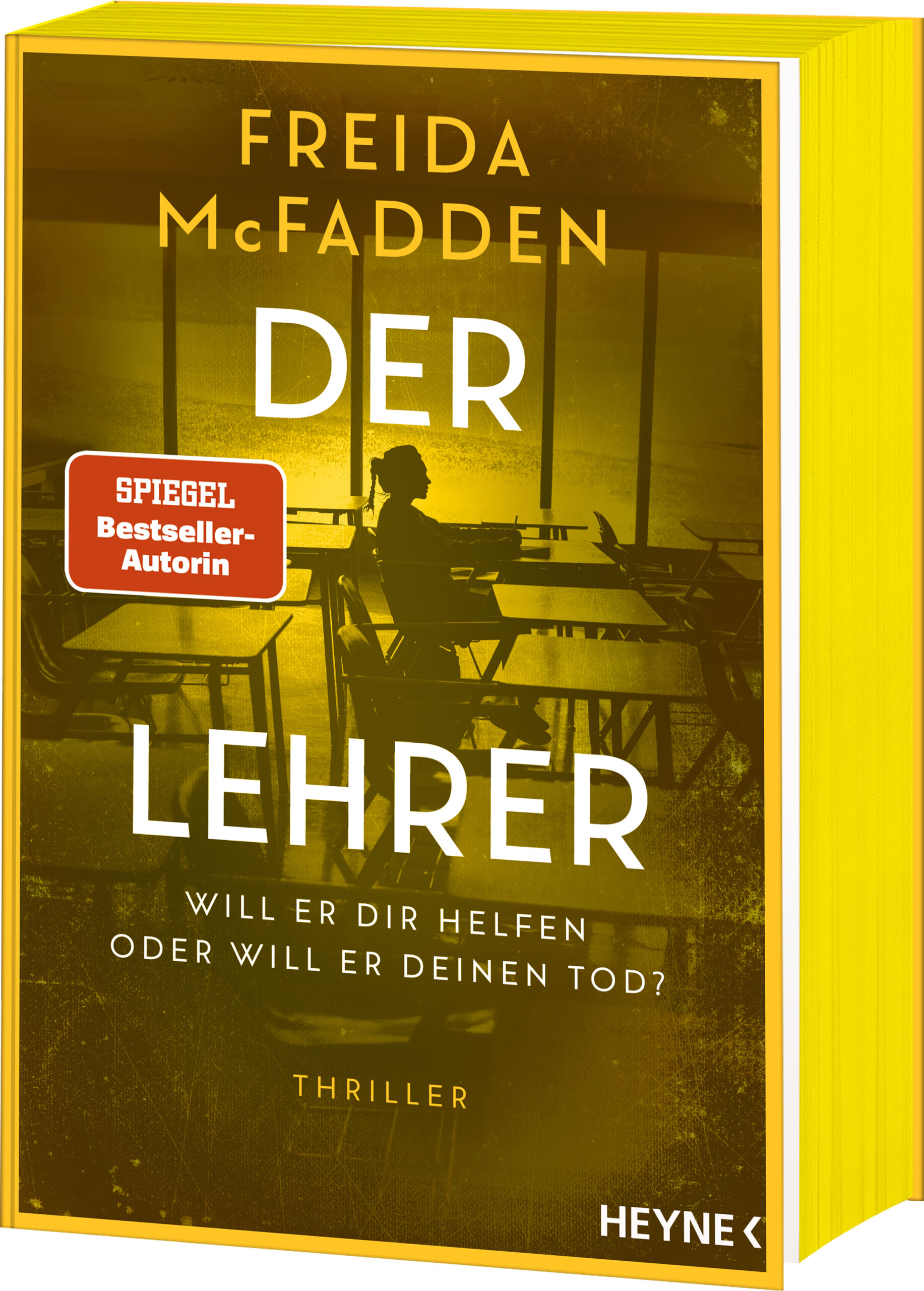 Freida McFadden, Der Lehrer